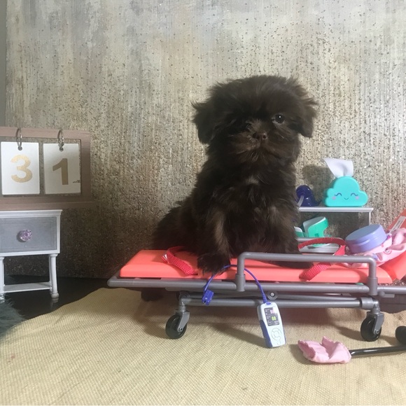 Meet your Posher, Largo - Picture 6 of 9